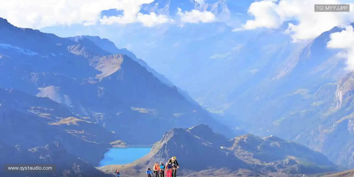 🎟️独家赛事，门票秒杀！🏆冠军之路，由你见证！